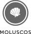 Moluscos